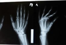 corporate systems examination report