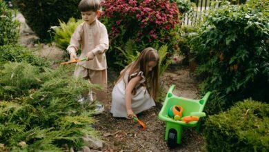 enhance your digital skills